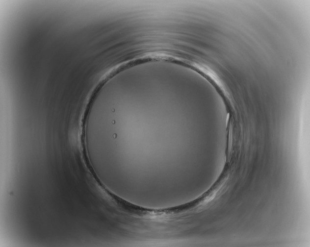 X0000089410799200706221134