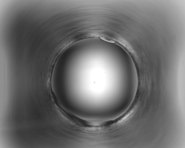 X0000089410801200706221134
