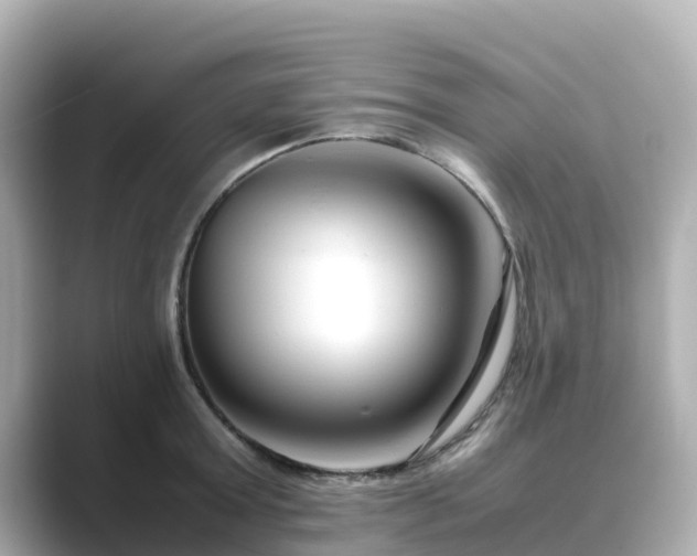 X0000089410803200706221134