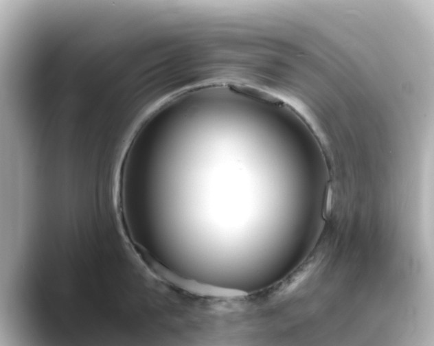 X0000089410815200706221134
