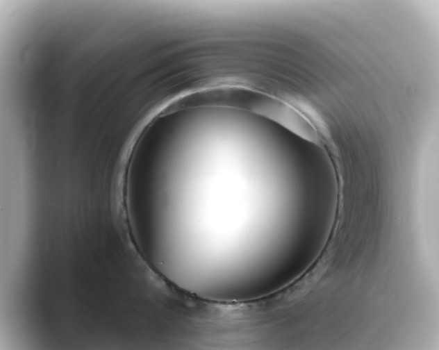 X0000089410816200706221134