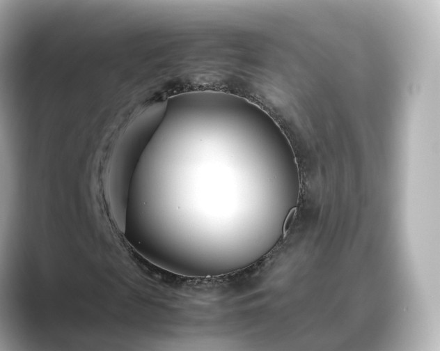 X0000089410817200706221133