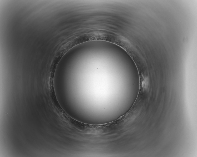 X0000089410819200706221133