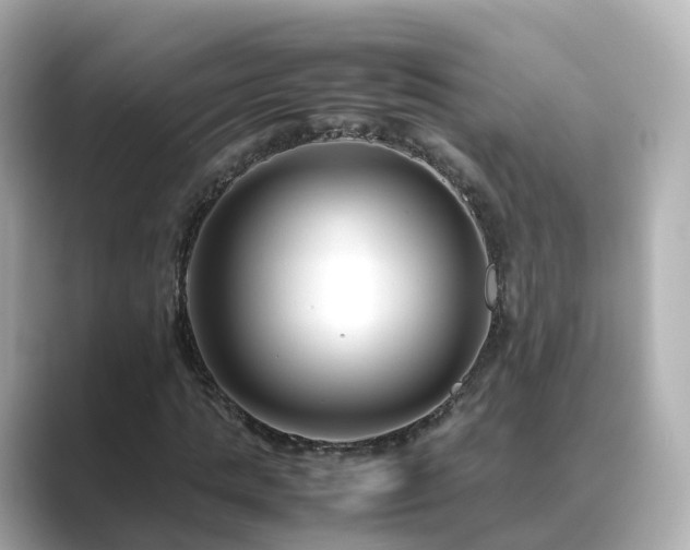 X0000089410821200706221133