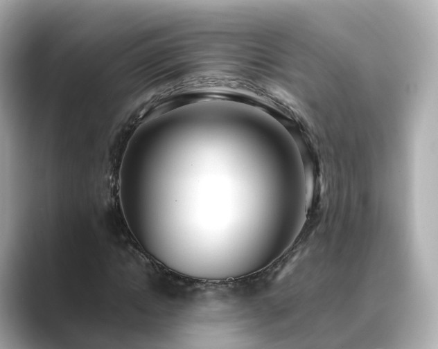 X0000089410822200706221134