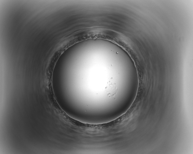 X0000089410823200706221134