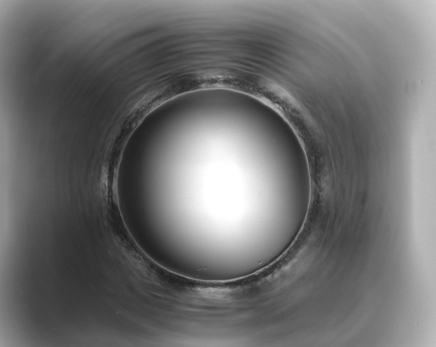 X0000089410825200706221134