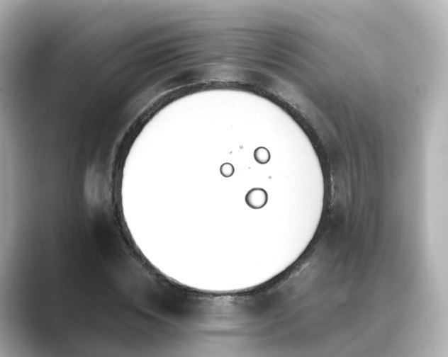 X0000089410828200706221134