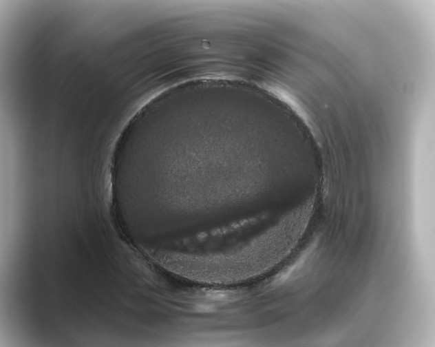 X0000089410829200706221134