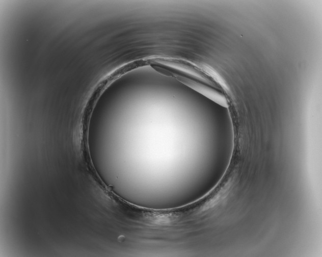 X0000089410831200706221134