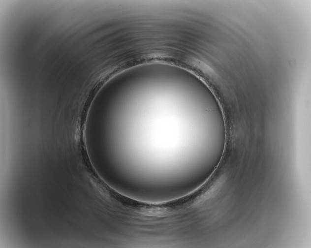 X0000089410833200706221134