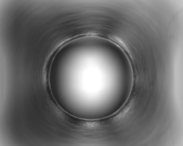 X0000089410835200706221134