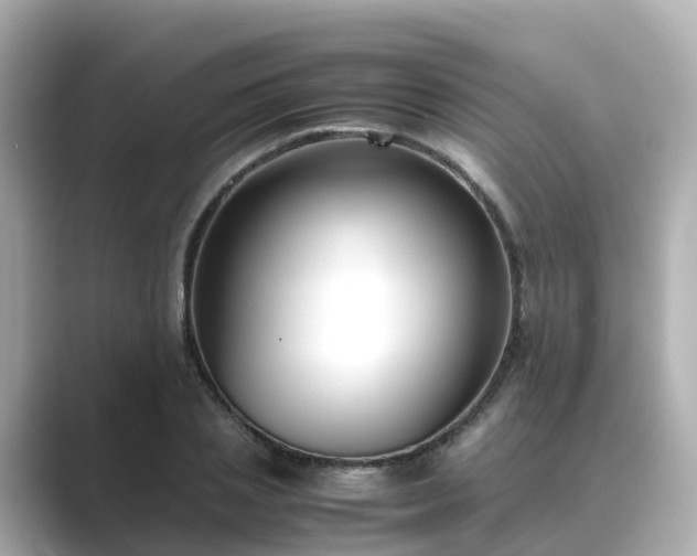 X0000089410837200706221134