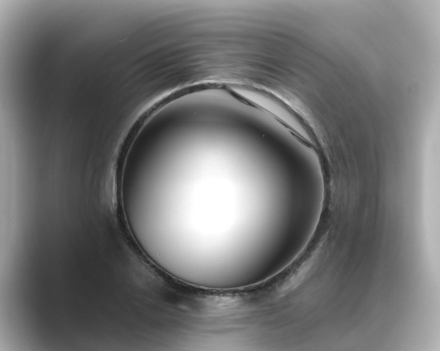 X0000089410838200706221134