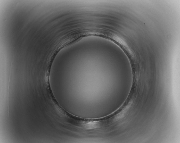 X0000089410841200706221134