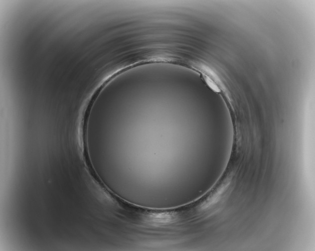 X0000089410843200706221134