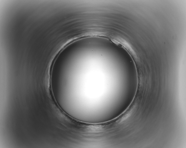 X0000089410844200706221134