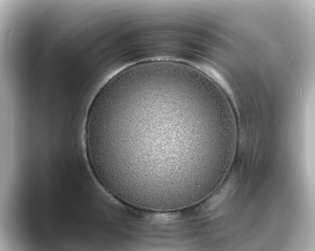 X0000089410847200706221134