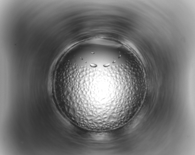 X0000089410851200706221134