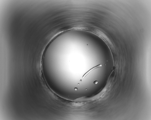 X0000089410852200706221134