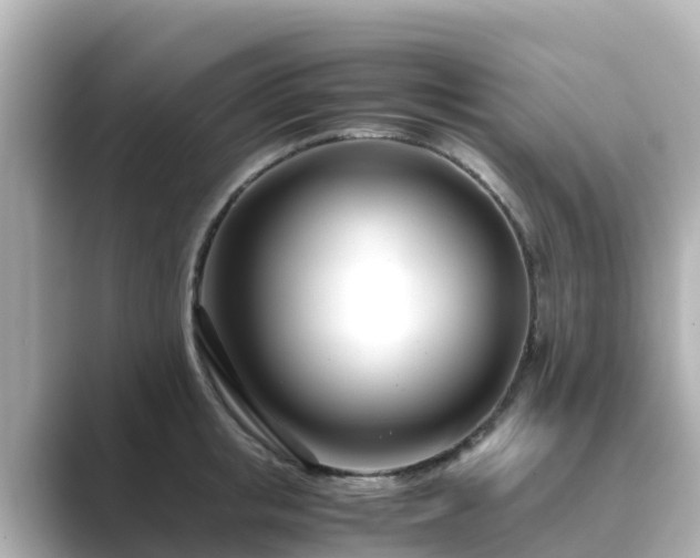 X0000089410853200706221134