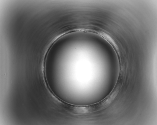 X0000089410855200706221134