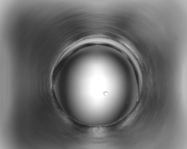 X0000089410858200706221134