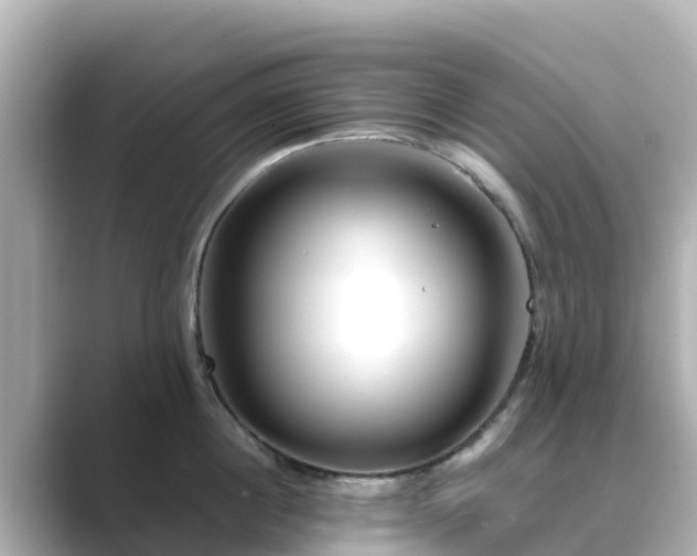 X0000089410860200706221134