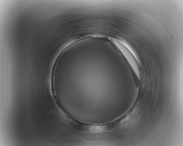 X0000089410861200706221134