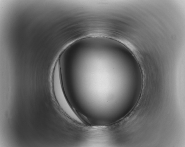 X0000089410864200706221134