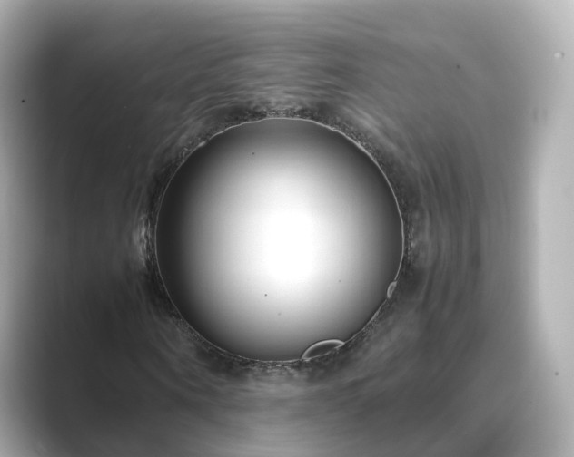X0000089410866200706221133
