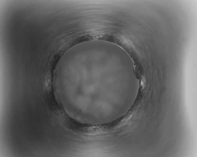 X0000089410867200706221133