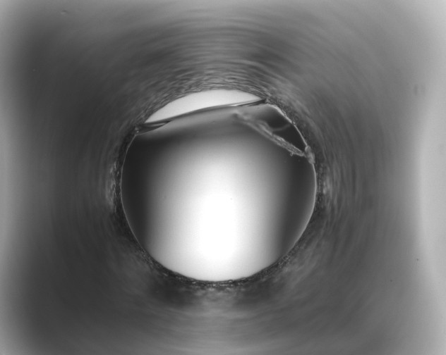 X0000089410868200706221133