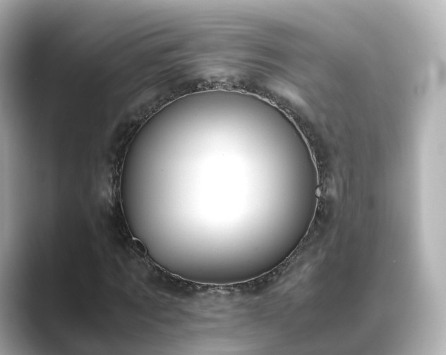 X0000089410869200706221133
