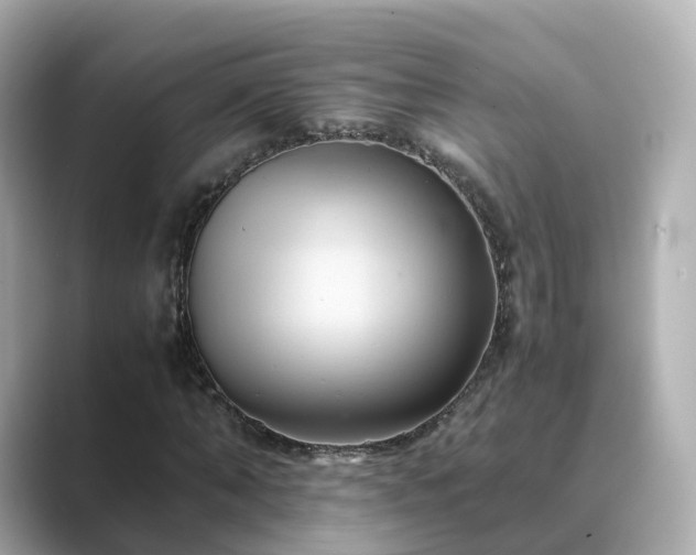 X0000089410870200706221133