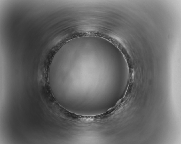 X0000089410871200706221133