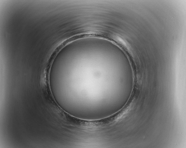 X0000089410875200706221133