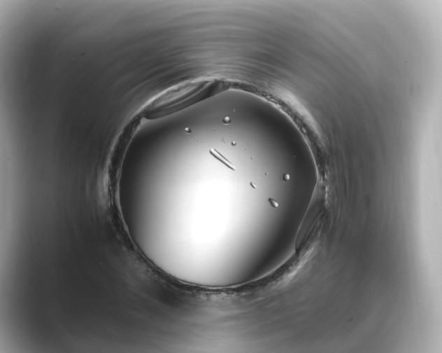 X0000089410876200706221133