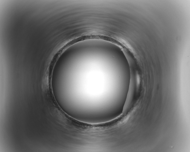 X0000089410877200706221133
