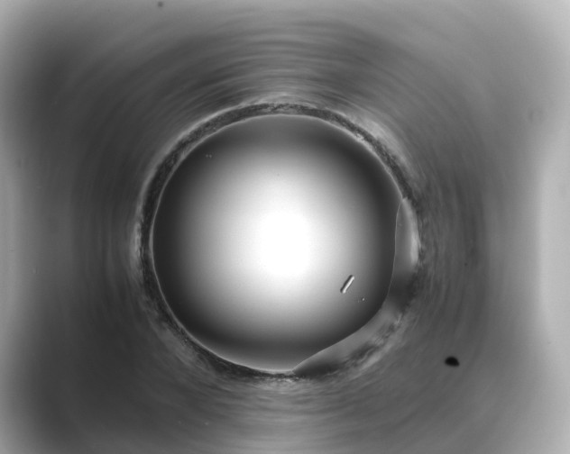 X0000089410880200706221133