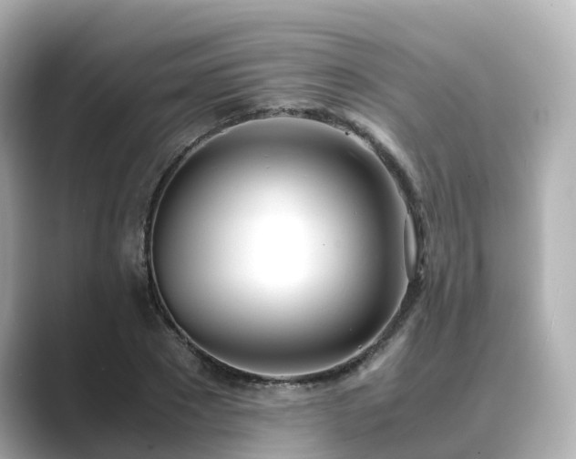 X0000089410881200706221133