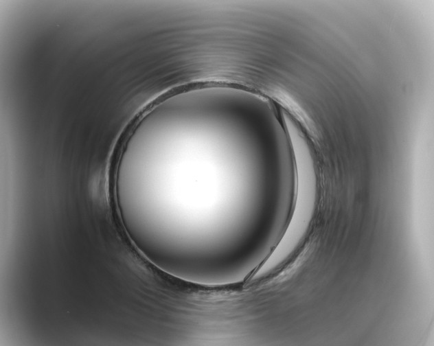 X0000089410884200706221133