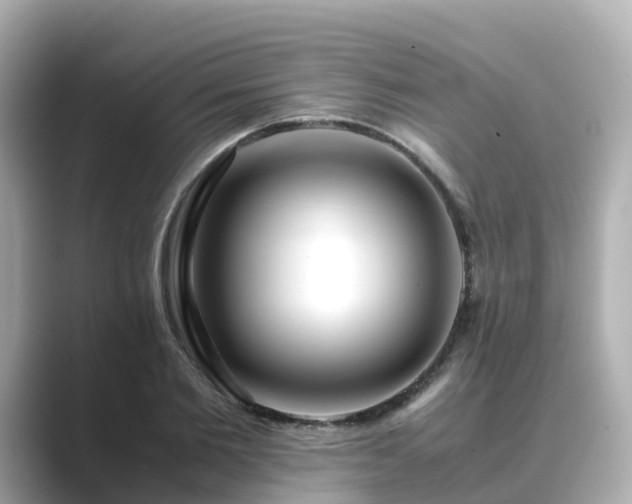 X0000089410885200706221133