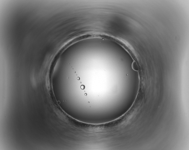 X0000089410887200706221133