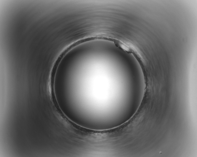 X0000089410888200706221133