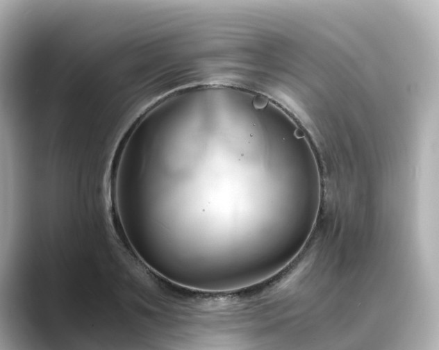 X0000089410891200706221133