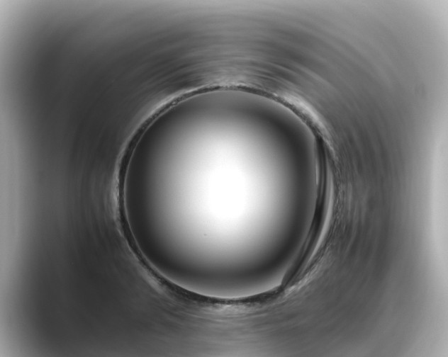 X0000089410894200706221133