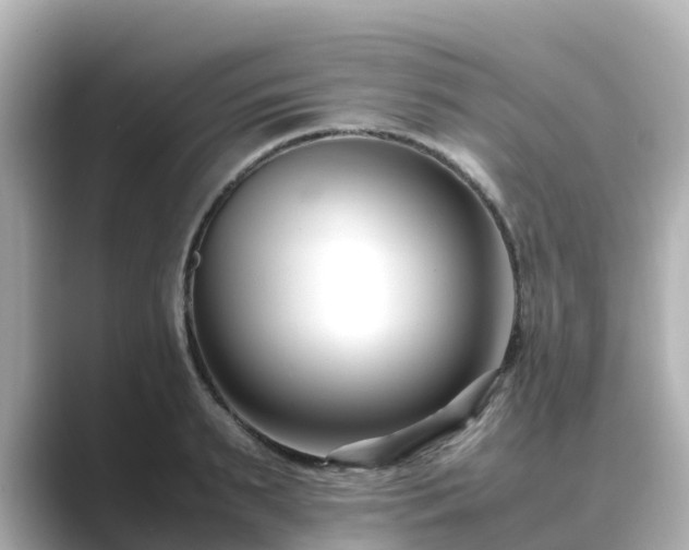 X0000089410895200706221133