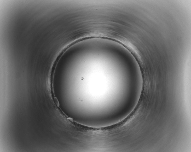 X0000089410896200706221133