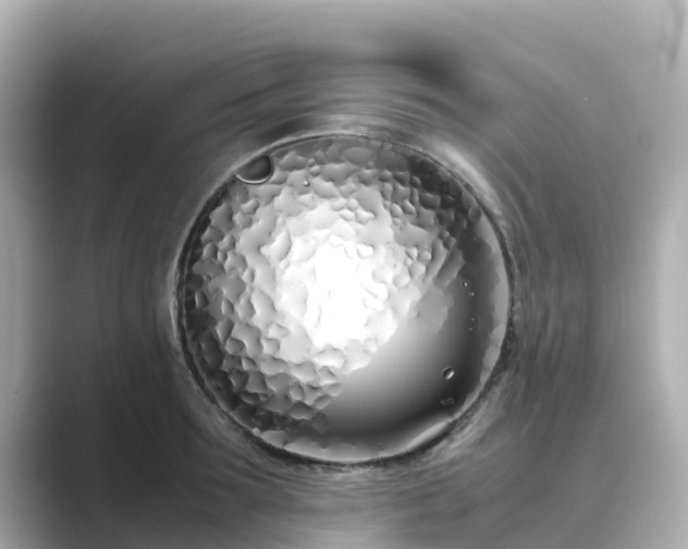 X0000089410899200706221133